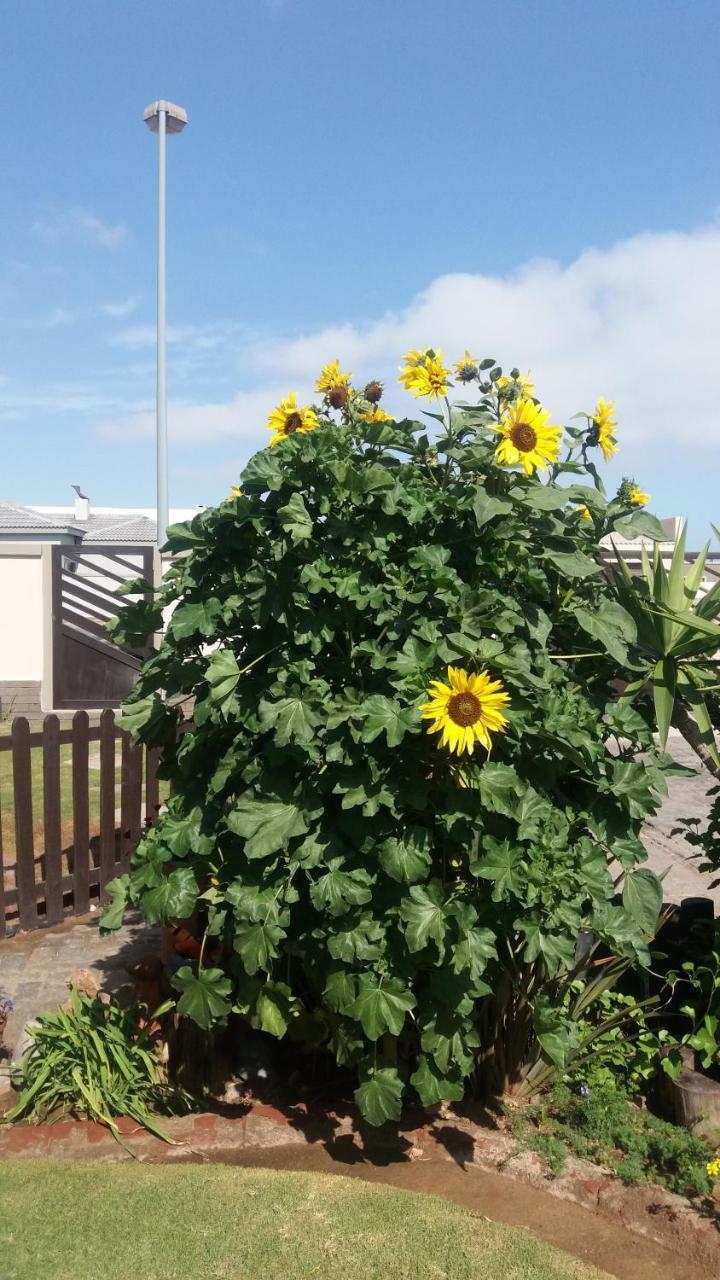 Sunflower Self-Catering Walvis Bay Exteriér fotografie