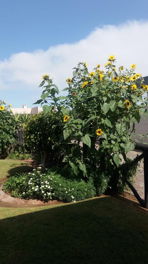 Sunflower Self-Catering Walvis Bay Exteriér fotografie